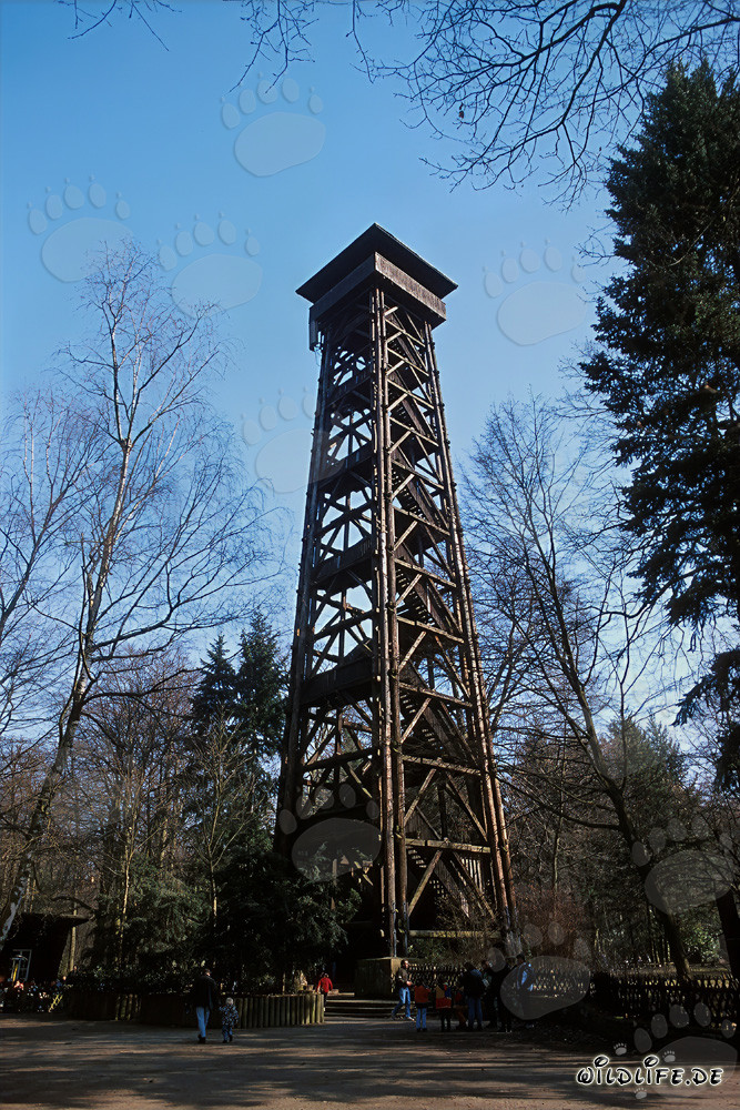 Maestosa torre Goethe a Francoforte sul Meno