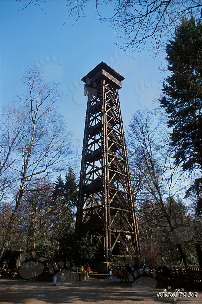 Majestätischer Goetheturm in Frankfurt am Main