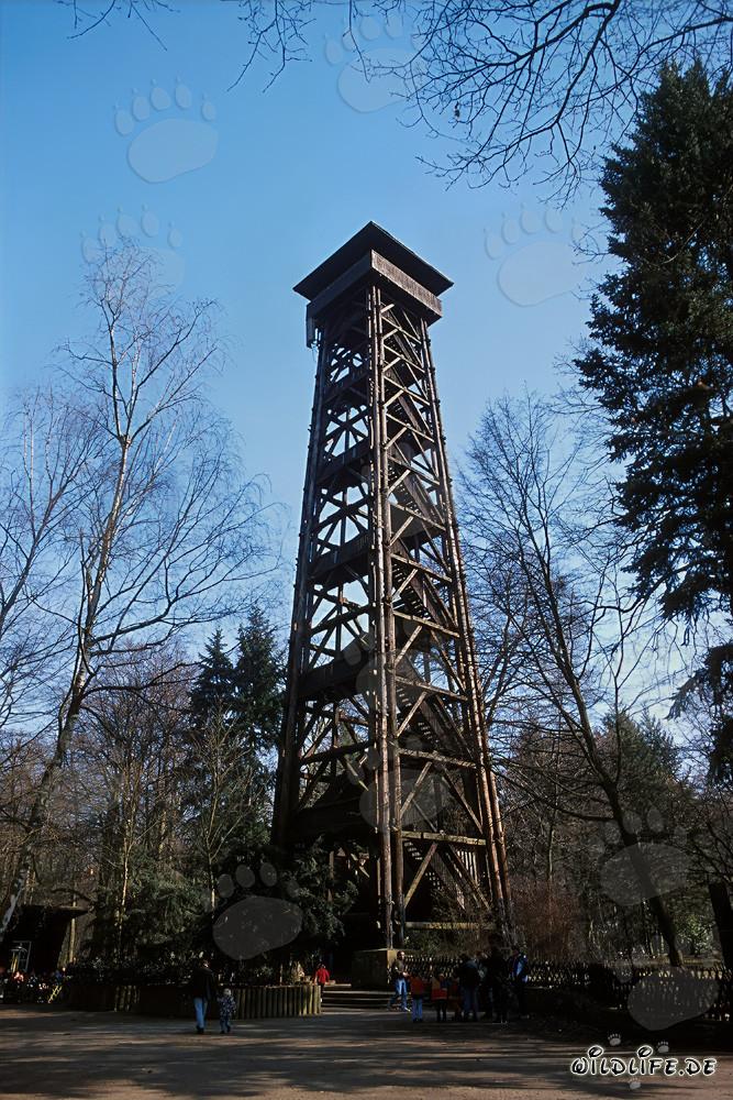 Majestic Goetheturm in Frankfurt am Main