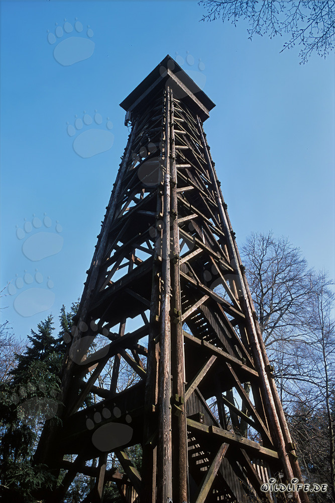 Vue depuis la tour Goethe sur Francfort - Destination populaire à Sachsenhausen