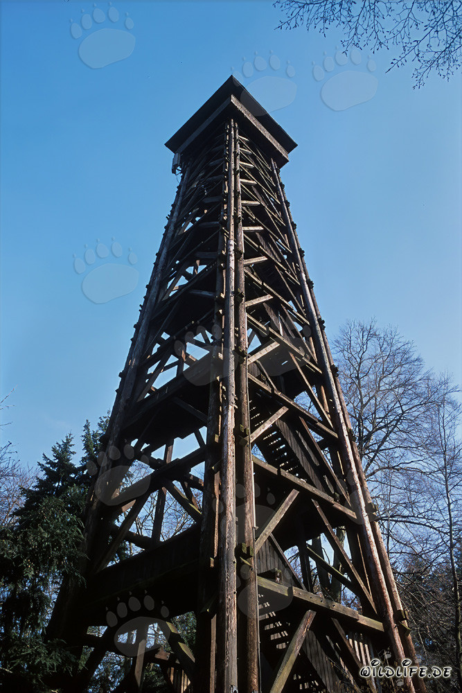 Vista dalla torre Goethe su Francoforte - Meta turistica popolare a Sachsenhausen