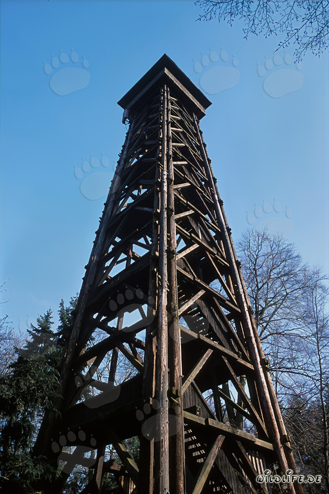 View from the Goetheturm over Frankfurt - Popular destination in Sachsenhausen