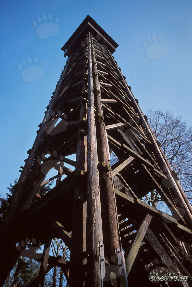 Goetheturm à Francfort-sur-le-Main au coucher du soleil