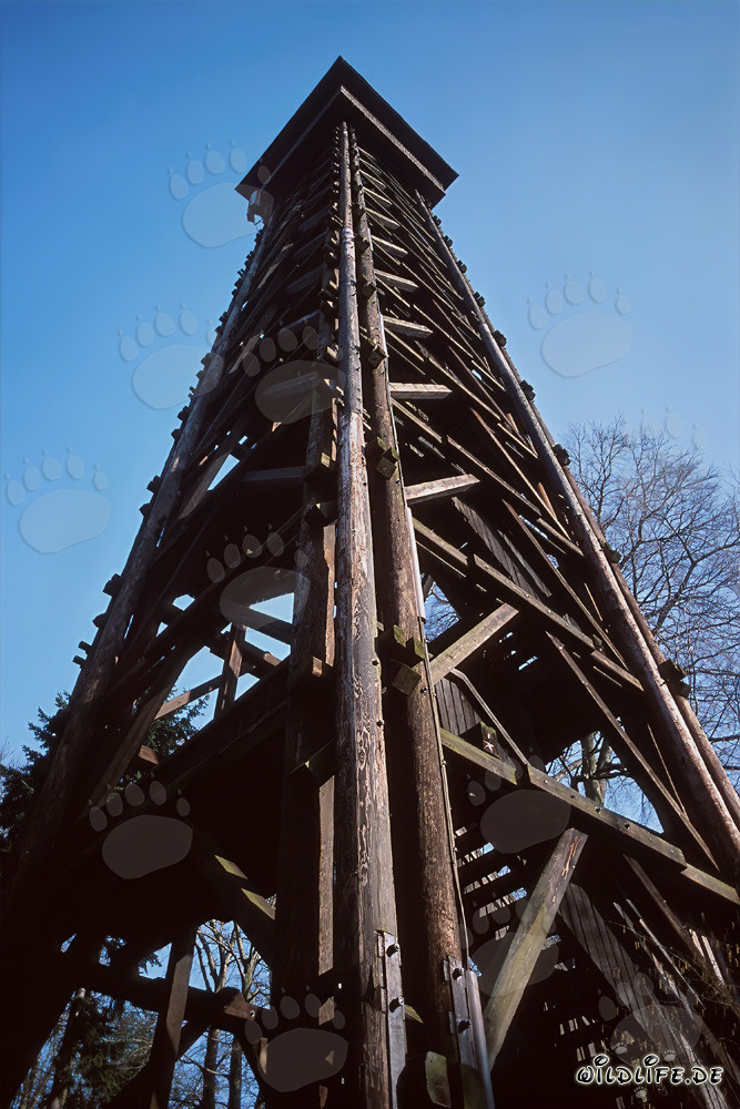 Torre Goetheturm a Francoforte sul Meno al tramonto