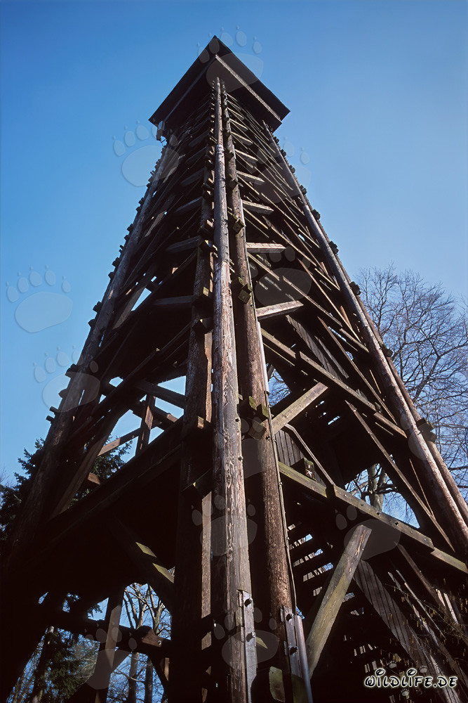 Torre Goetheturm en Frankfurt am Main al atardecer