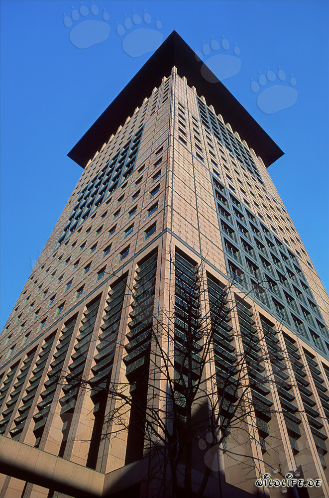 Centre fascinant du Japon à Francfort-sur-le-Main