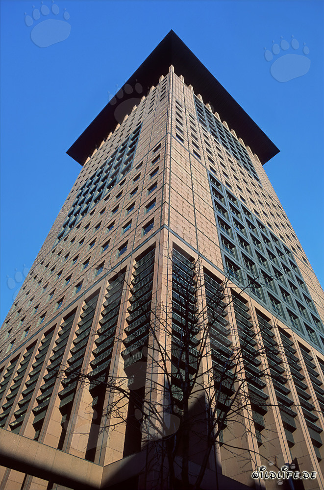 Fascinante Centro Japonés en Fráncfort del Meno