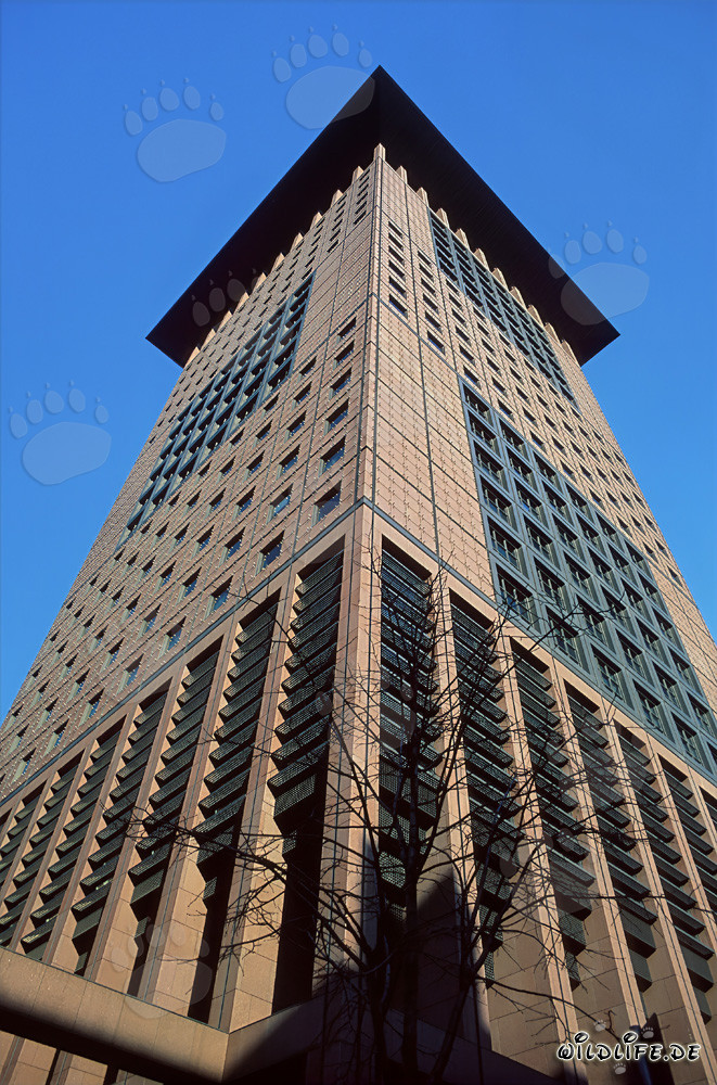 Faszinierendes Japan-Center in Frankfurt am Main