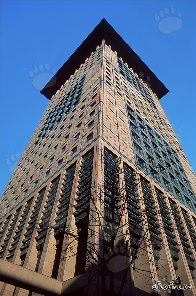 Fascinating Japan-Center in Frankfurt am Main