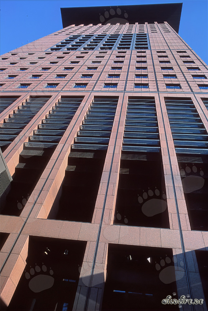 Centre japonais fascinant à Francfort-sur-le-Main