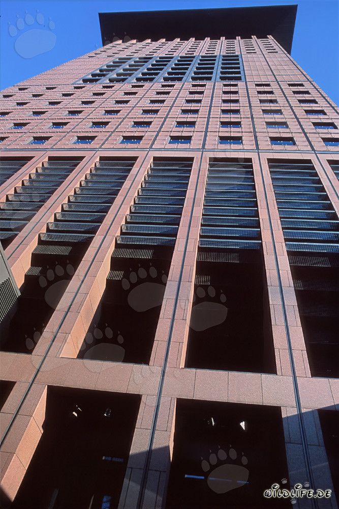Faszinierendes Japan-Center in Frankfurt am Main