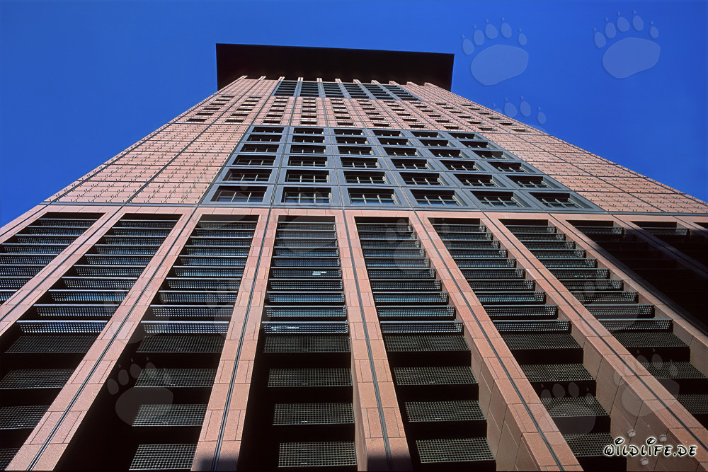 Centro giapponese futuristico a Francoforte: un capolavoro architettonico