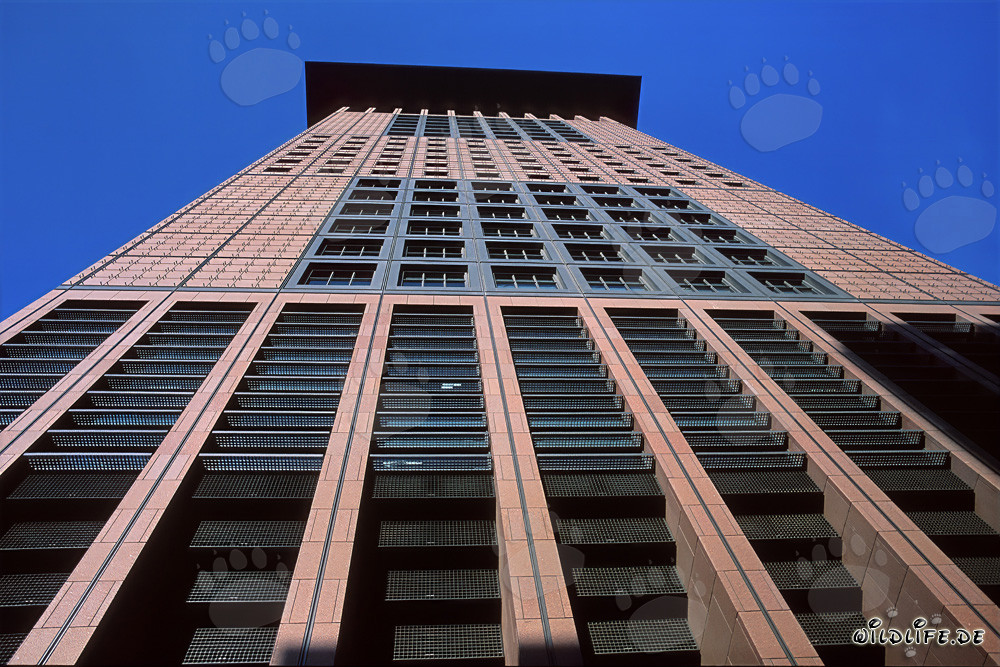 Centre japonais futuriste à Francfort : un chef-d'œuvre architectural
