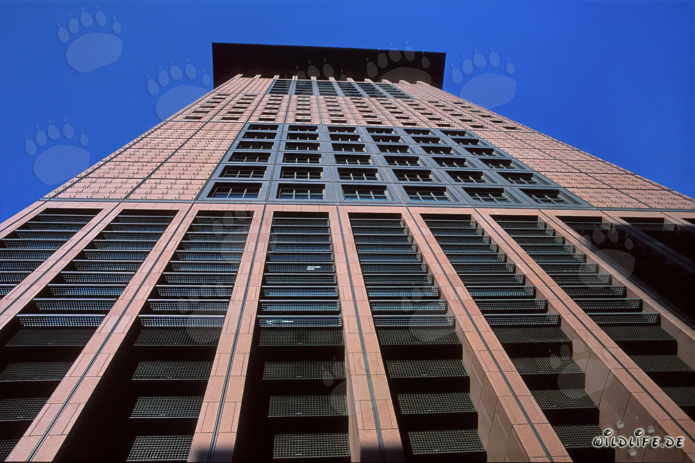 Centro japonés futurista en Fráncfort: una obra maestra arquitectónica