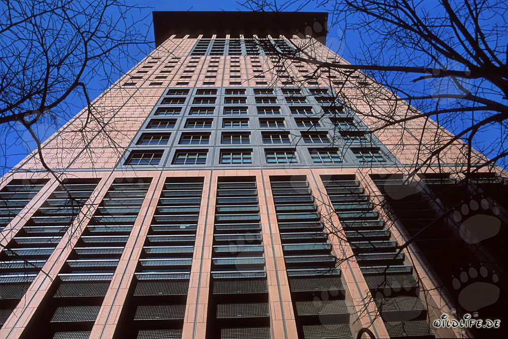 Japan-Center Skyscraper in Frankfurt with Far Eastern Style