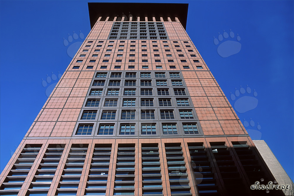 Futuristic Japan-Center Skyscraper in Frankfurt with Far Eastern Flair