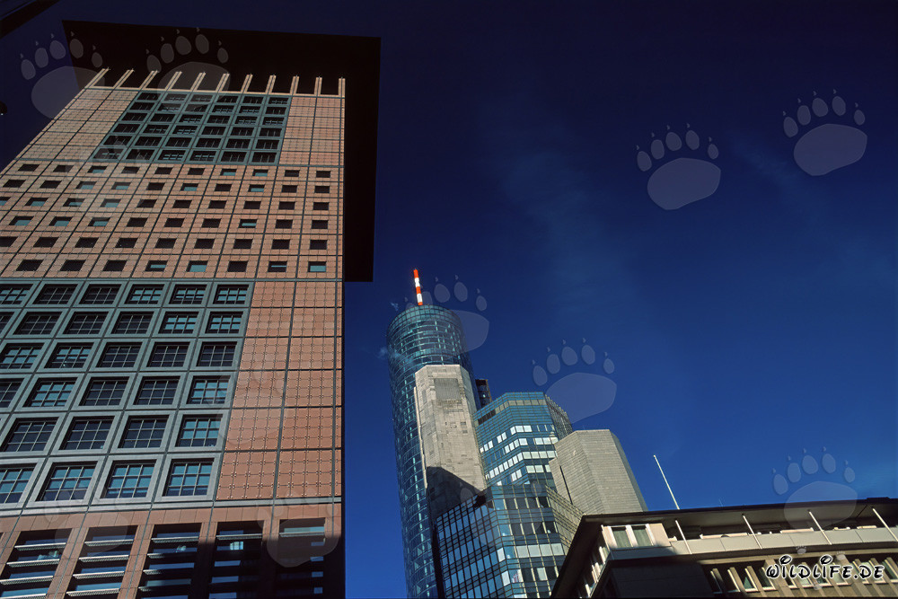 Centre japonais fascinant à Francfort : un chef-d'œuvre architectural