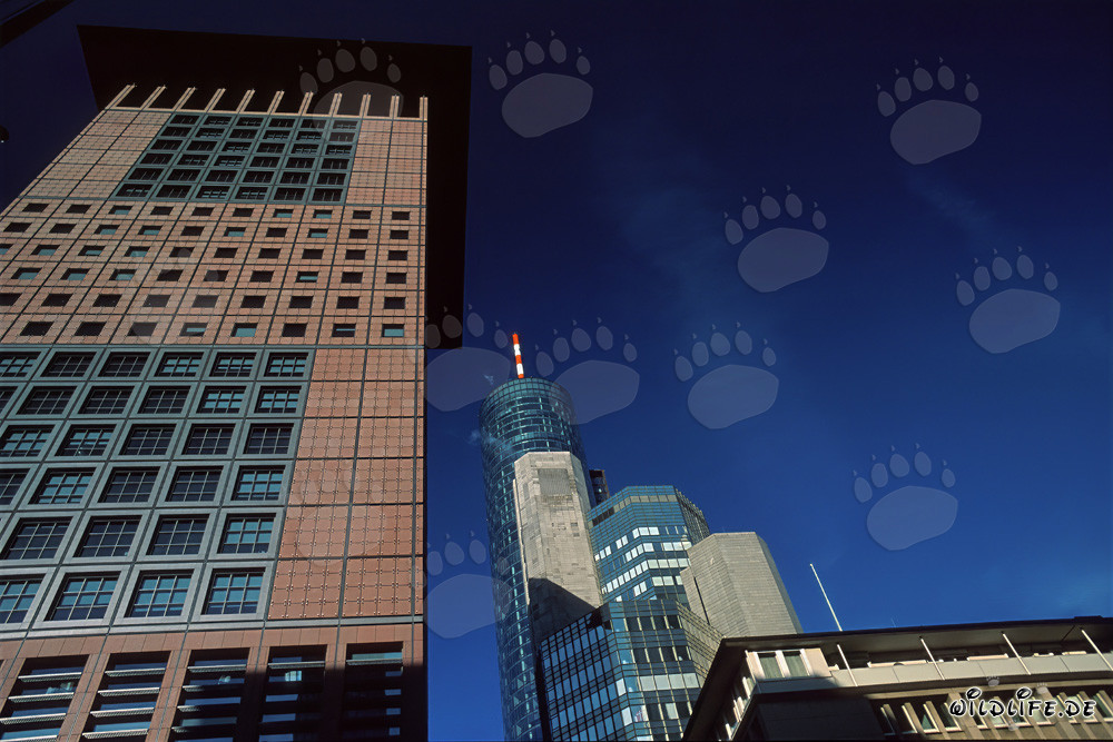 Fascinating Japan-Center in Frankfurt: An Architectural Masterpiece