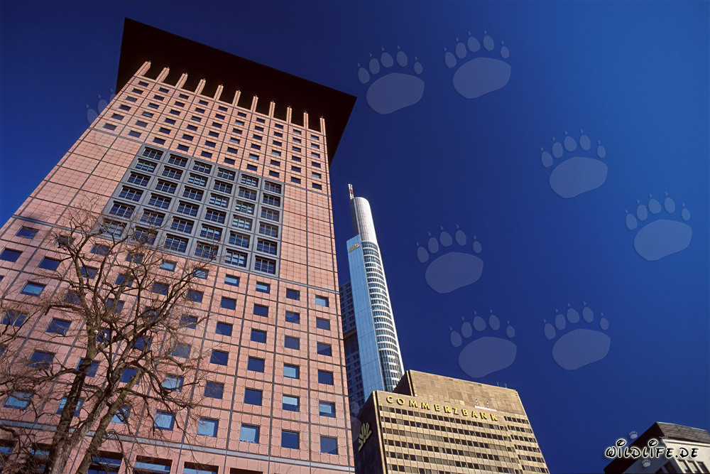 Grattacielo in stile estremo-orientale: Japan-Center a Francoforte sul Meno