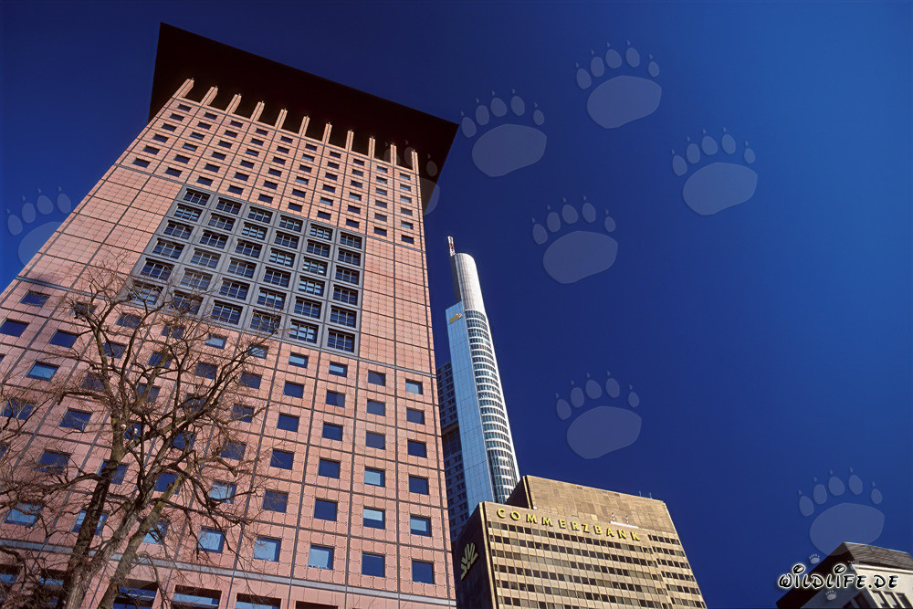 Gratte-ciel de style extrême-oriental : Japan-Center à Francfort-sur-le-Main