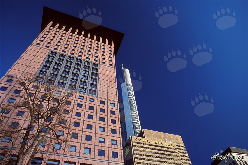 Hochhaus im fernoestlichen Stil: Japan-Center in Frankfurt am Main