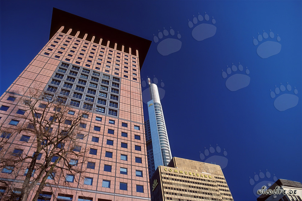 Rascacielos de estilo oriental: Japan-Center en Fráncfort del Meno