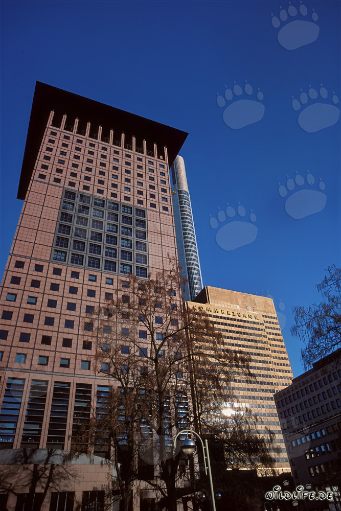 Architecture du Japan-Center à Francfort-sur-le-Main
