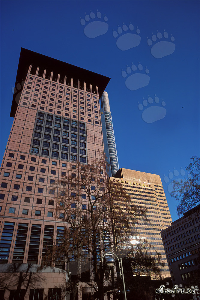 Architecture of the Japan Center in Frankfurt am Main