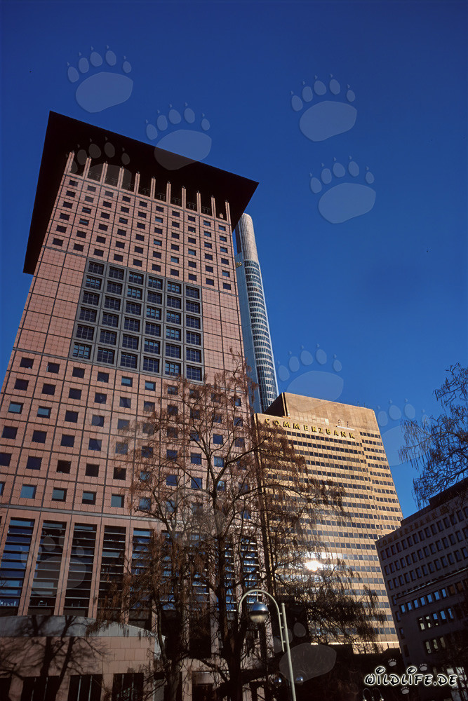 Architektur des Japan-Centers in Frankfurt am Main