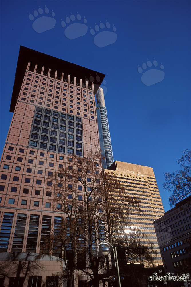 Architettura del Japan-Center a Francoforte sul Meno