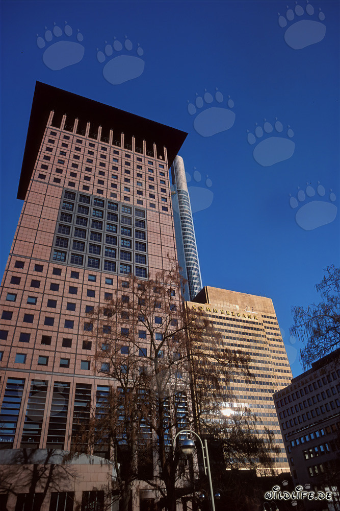 Arquitectura del Japan-Center en Frankfurt am Main