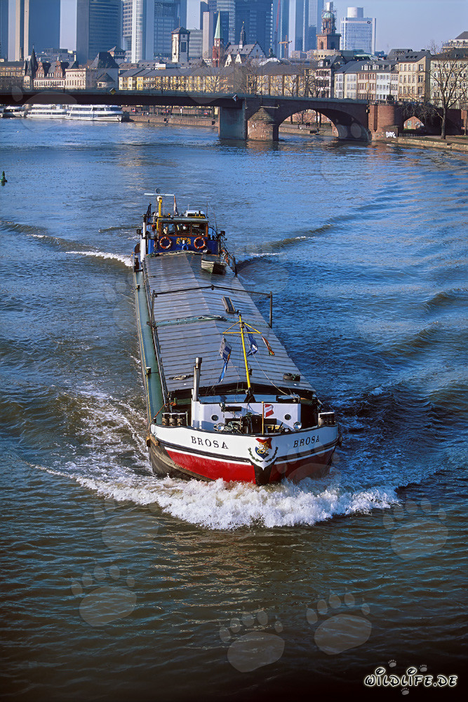 Barcaza fluvial frente al imponente horizonte de Fráncfort del Meno