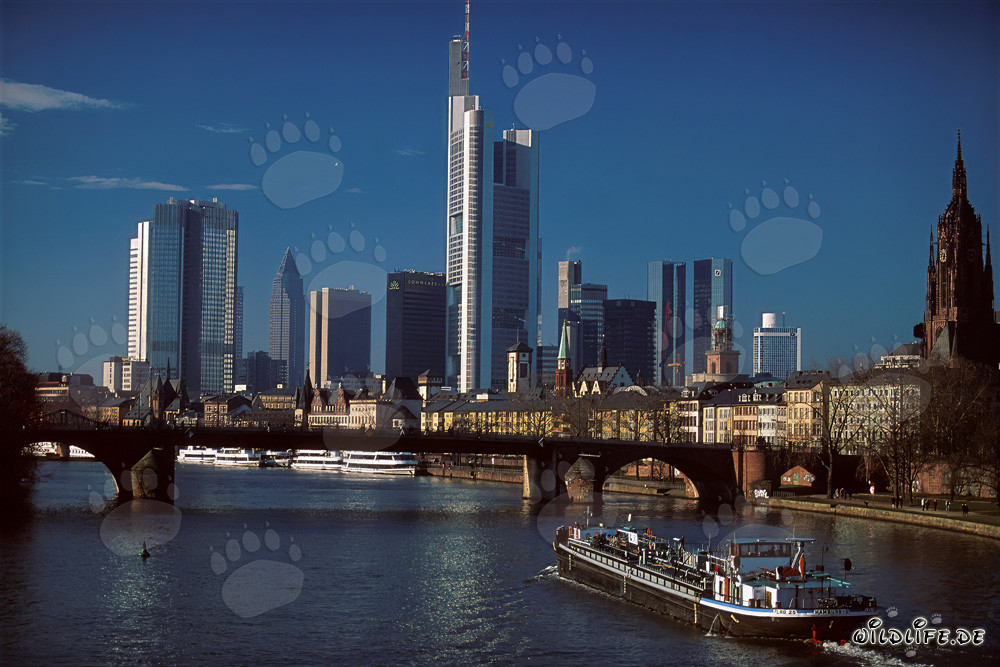 Impressionnante skyline de Francfort-sur-le-Main