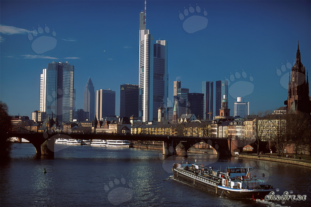 Imposante Skyline von Frankfurt am Main
