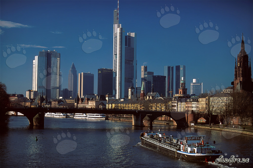 Impressive Skyline of Frankfurt am Main