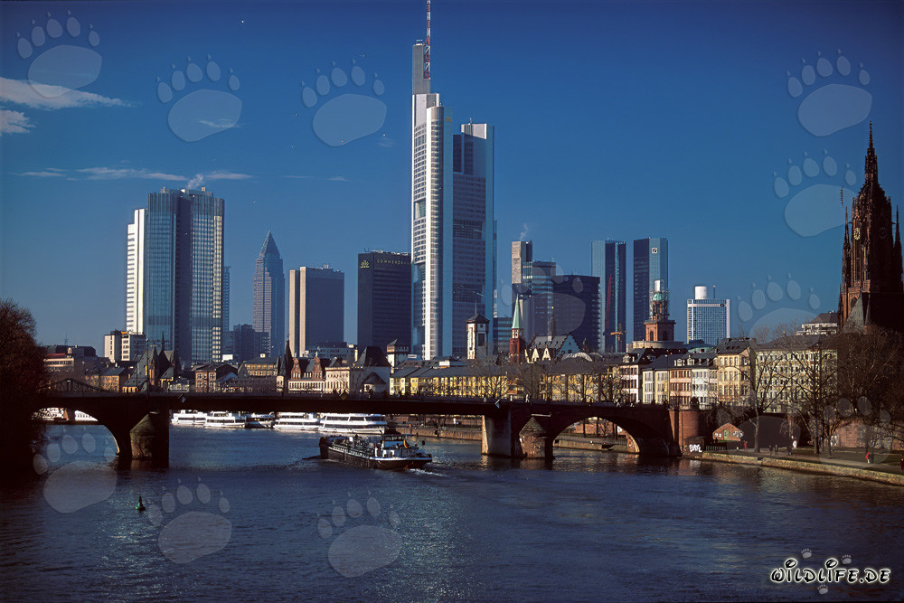 La majestueuse skyline de Francfort au coucher du soleil