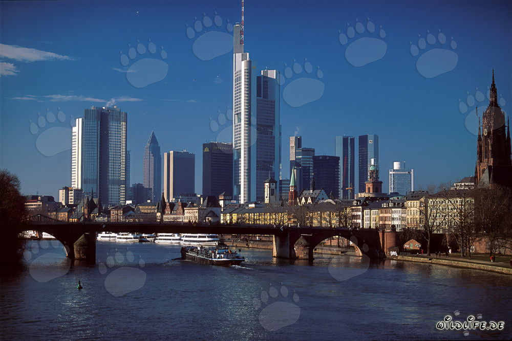 La imponente skyline de Fráncfort al atardecer