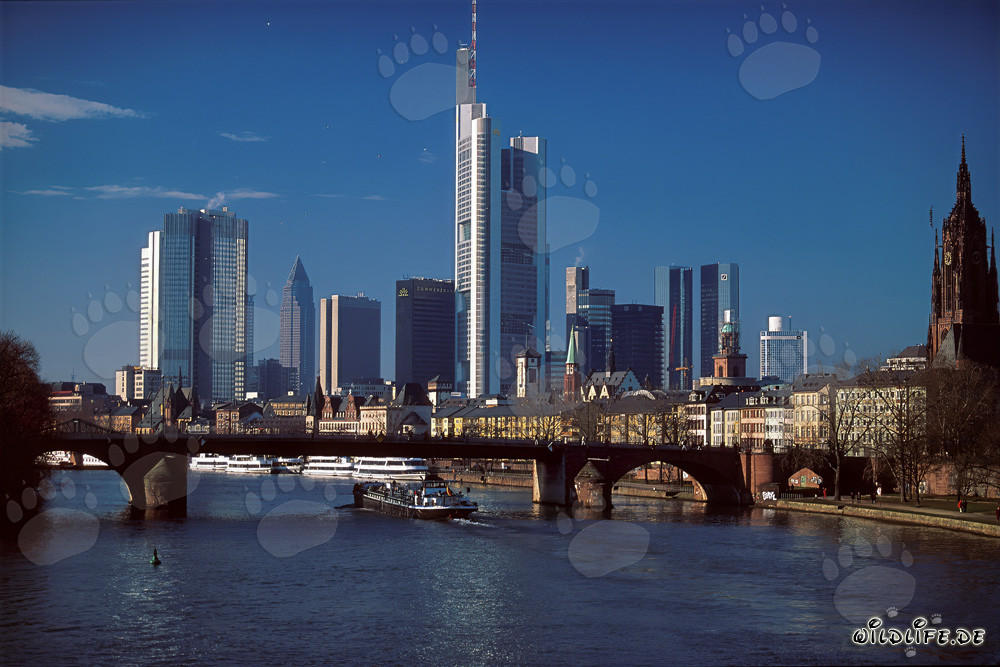 Frankfurts imposante Skyline bei Sonnenuntergang