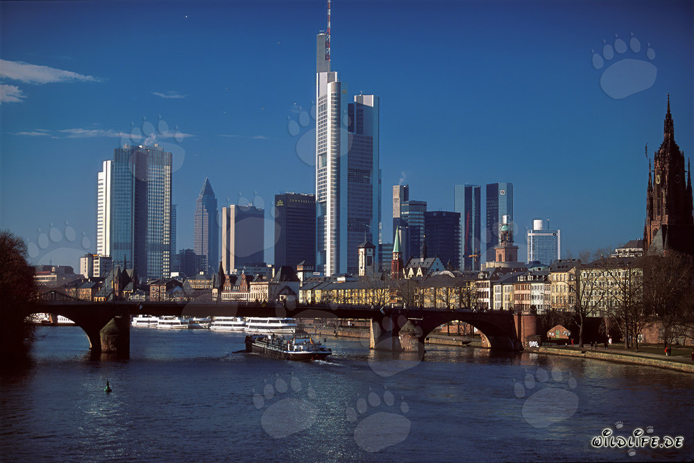 Frankfurt's impressive skyline at sunset