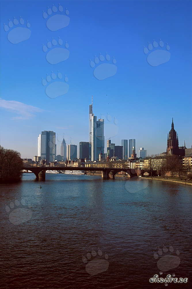 La silhouette impressionnante de Francfort avec la tour Millenium comme emblème