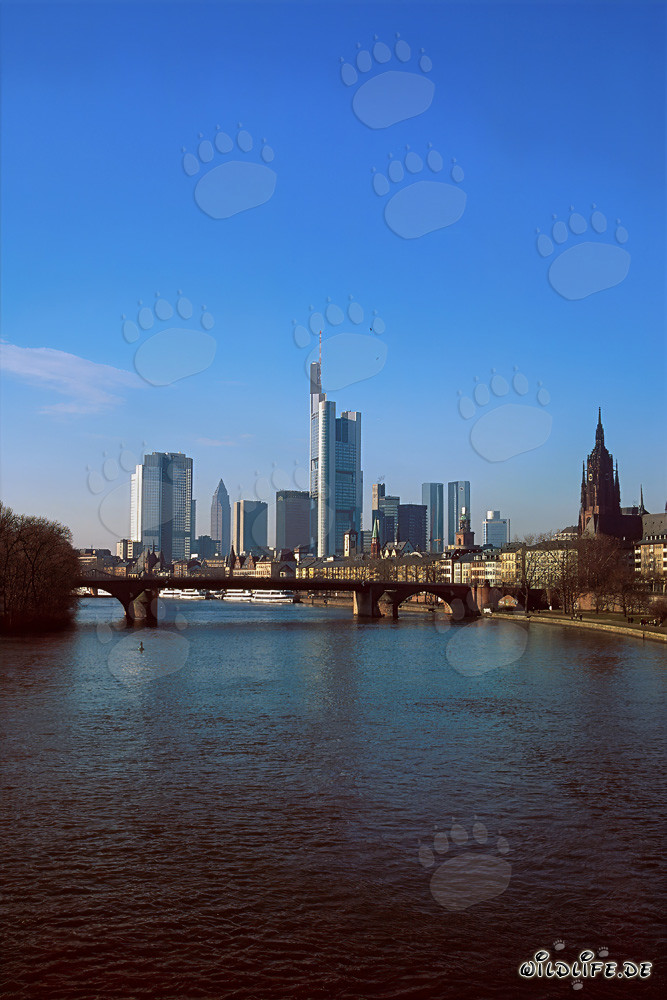 La imponente silueta de Fráncfort con la Torre Millenium como emblema