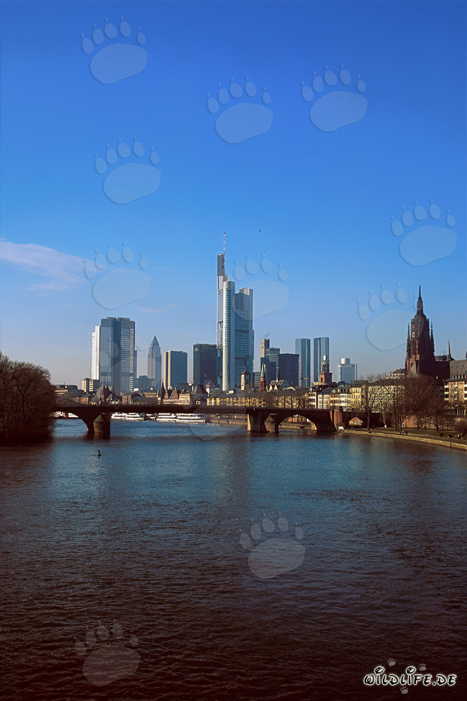 Frankfurts imposante Skyline mit dem Millenium Tower als Wahrzeichen