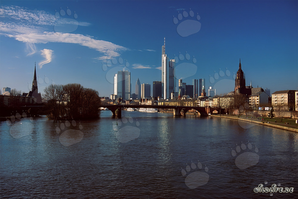 La majestueuse skyline de Francfort avec l'impressionnante tour Millenium