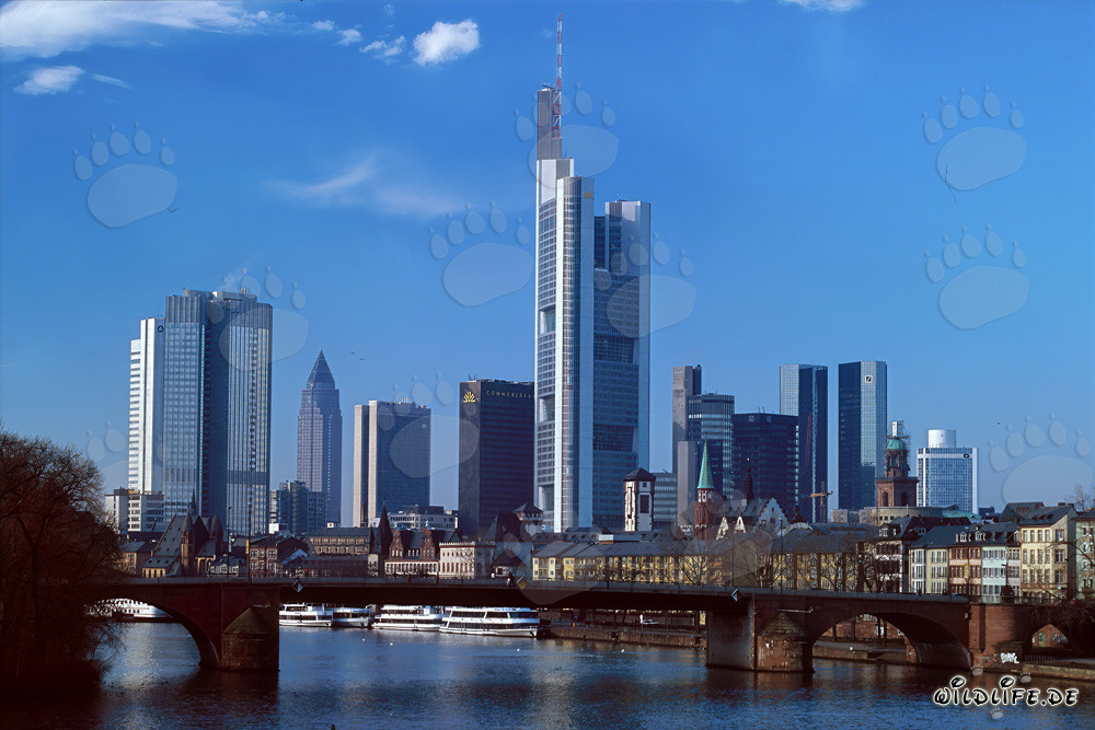 Fascinating Frankfurt Skyline at Sunset