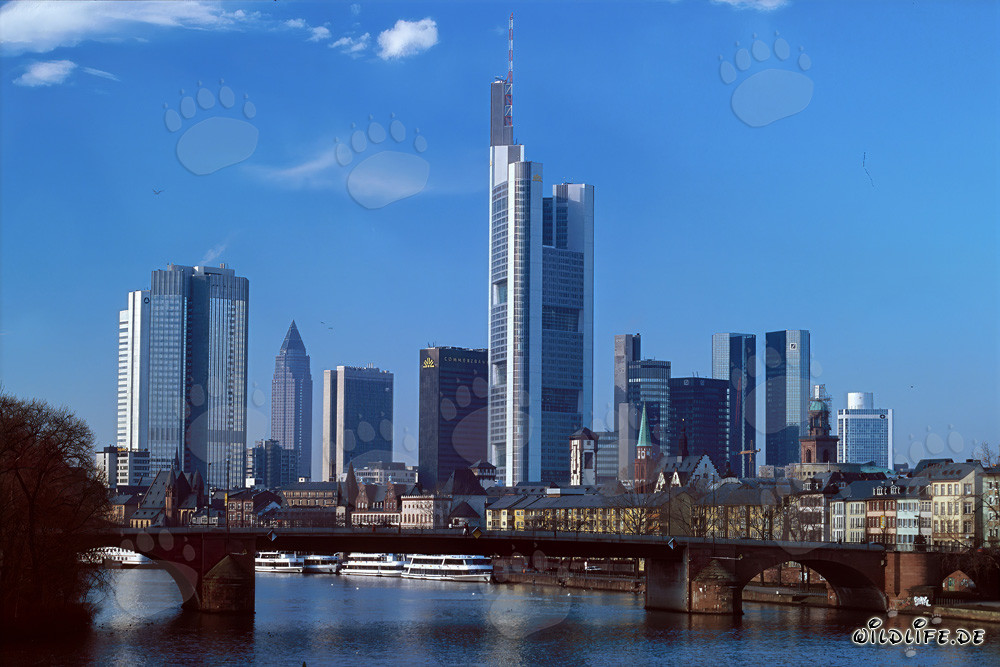 Faszinierende Frankfurter Skyline bei Sonnenuntergang