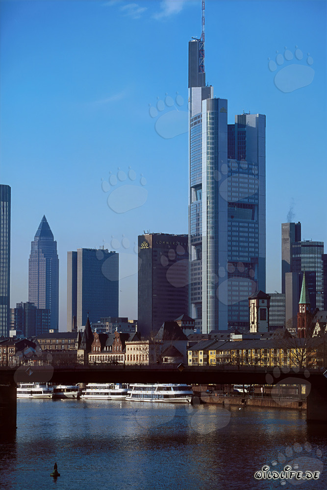 La magnifique skyline de Francfort au coucher du soleil