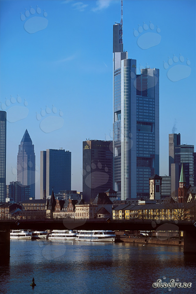 La impresionante skyline de Frankfurt al atardecer
