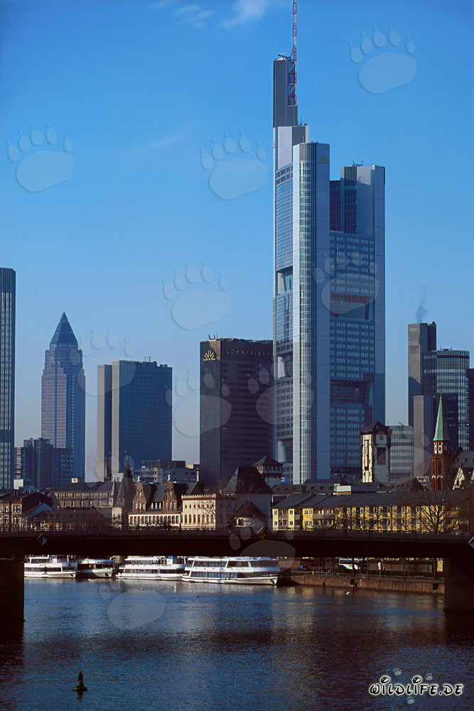 Frankfurts beeindruckende Skyline bei Sonnenuntergang