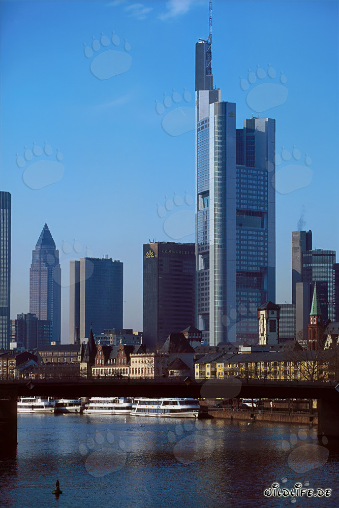 Frankfurt's impressive skyline at sunset