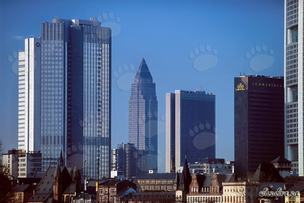 La magnifique skyline de Francfort au coucher du soleil